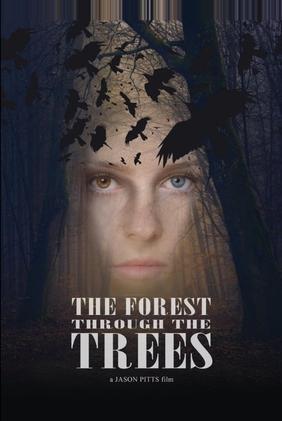 The Forest Through the Trees