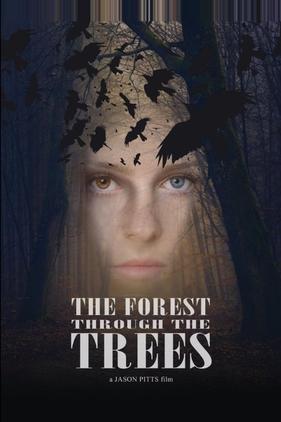 The Forest Through the Trees