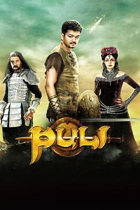 Puli